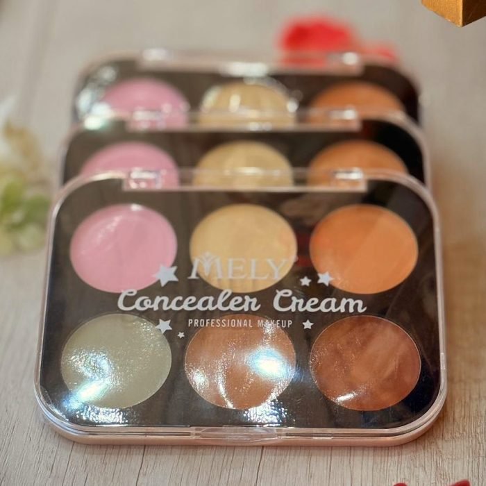 PALETA DE CORRECTORES